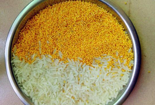 大米和小米的區別