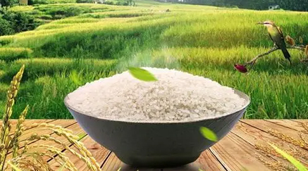 1644801077842088.jpg 1639794894631324.jpg