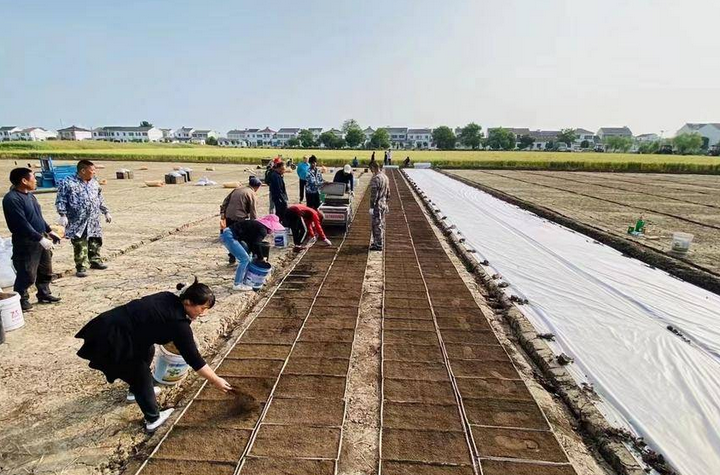 1676615490362974.png image.png