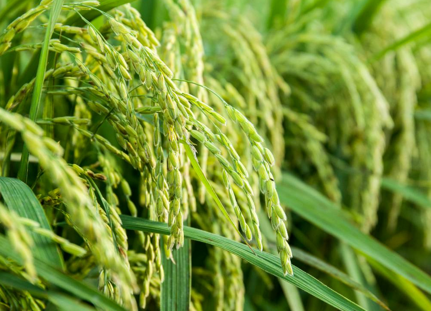 1679991685670144.png 1679991685670144.png